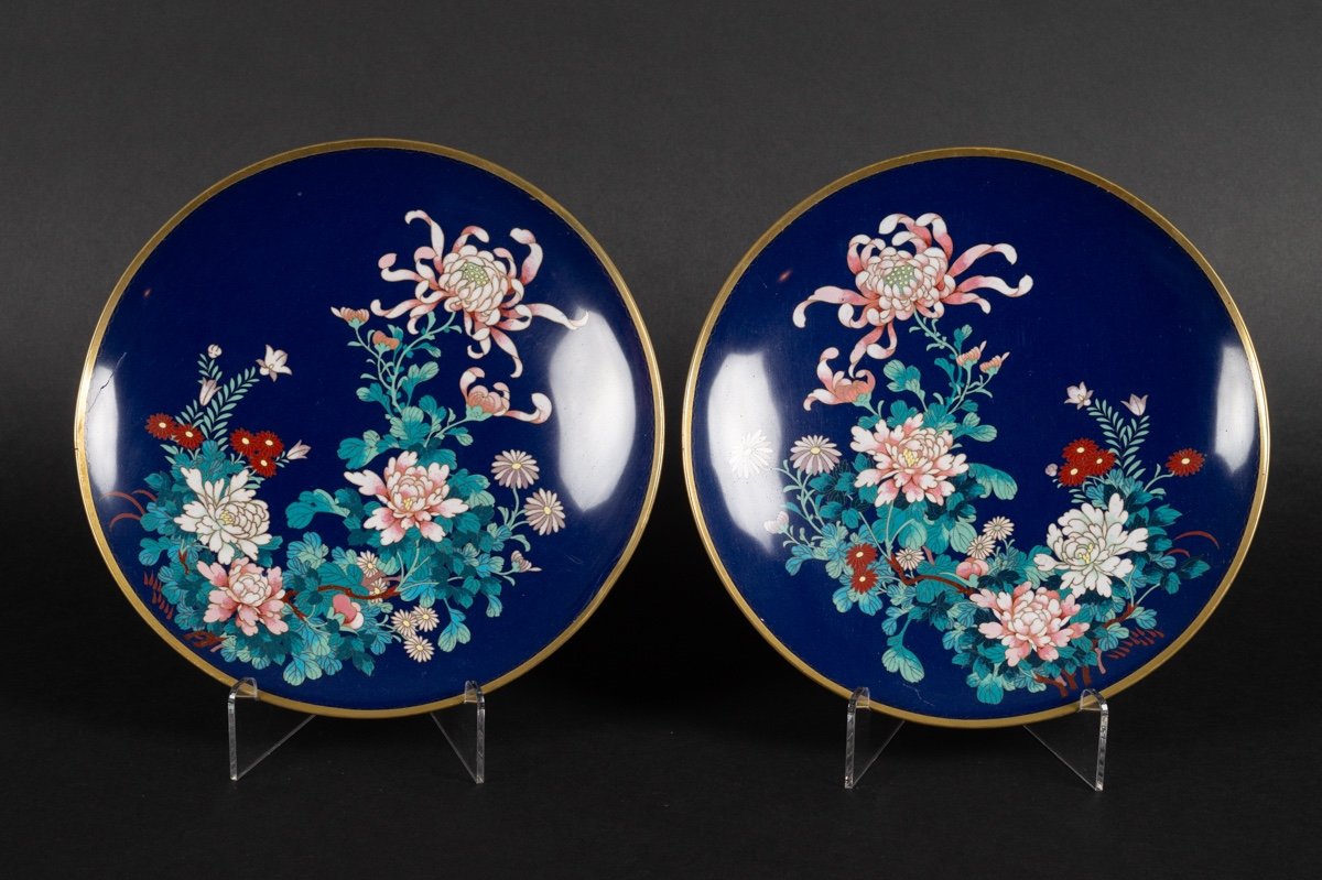 Paire d'Assiettes Cloisonnées, Japon, ère Meiji/taisho, Début. XXe S.