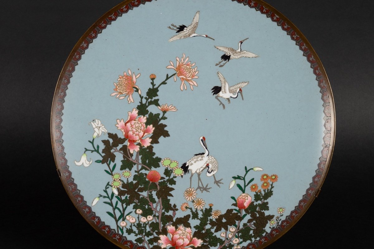 Plat à Grues, Cloisonné, Japon, ère Meiji (1868-1912).  -photo-3