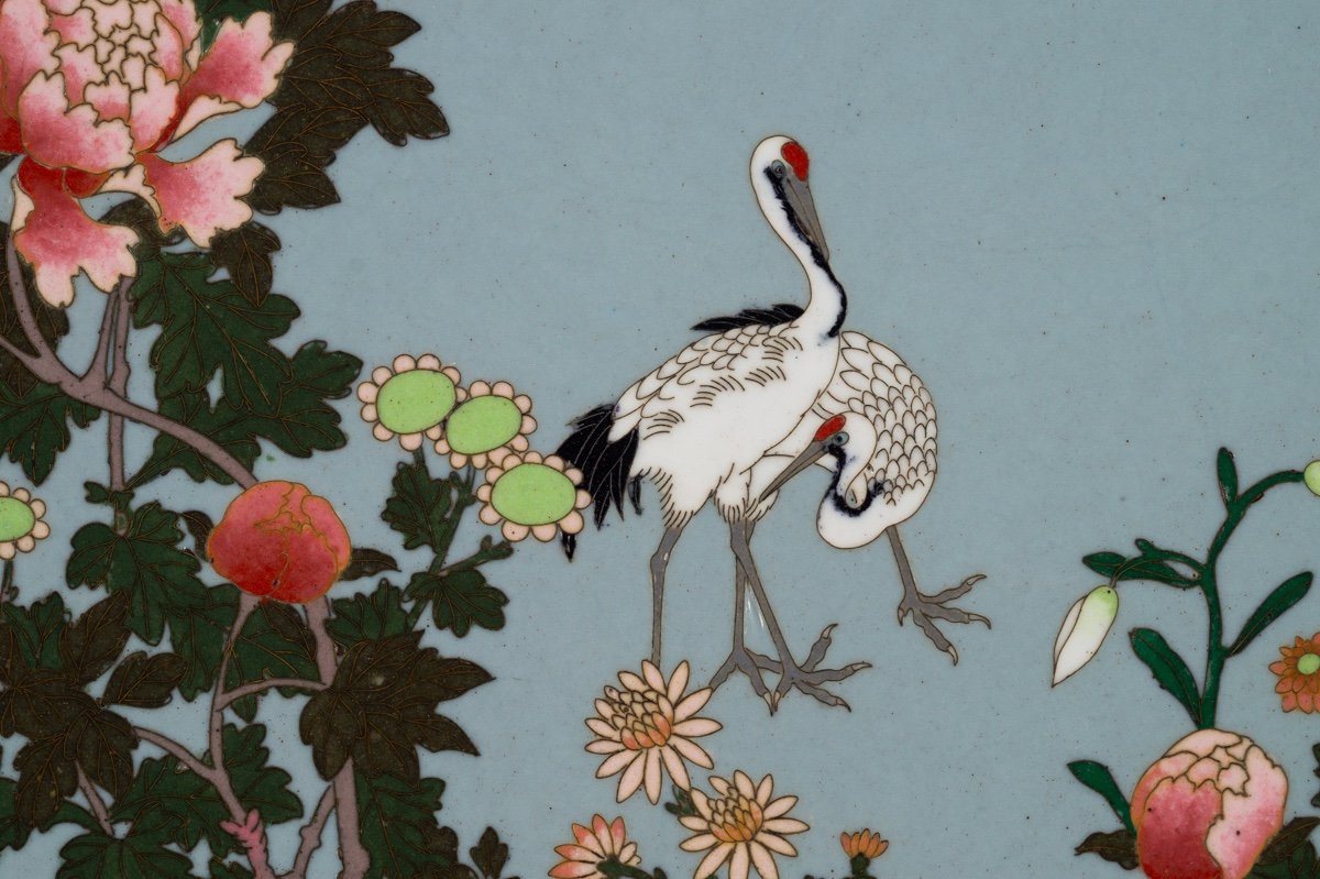 Plat à Grues, Cloisonné, Japon, ère Meiji (1868-1912).  -photo-3