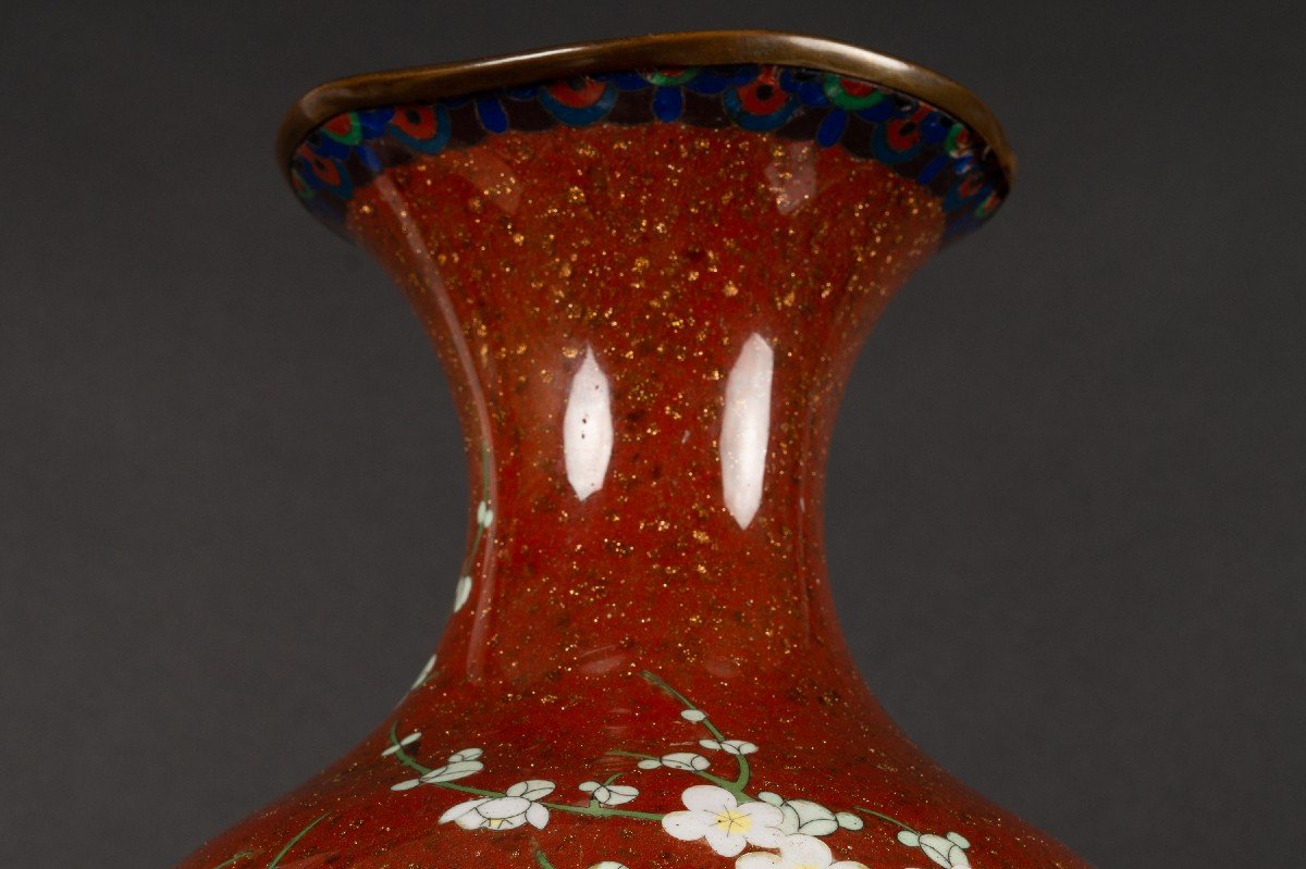 Large Cloisonne Vase, Shippo-yaki, Japan, Meiji Era (1868-1912)-photo-7