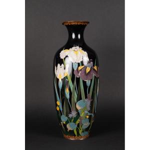 Vase Avec Iris, Cloisonné, Japon, ère Meiji (1868-1912).