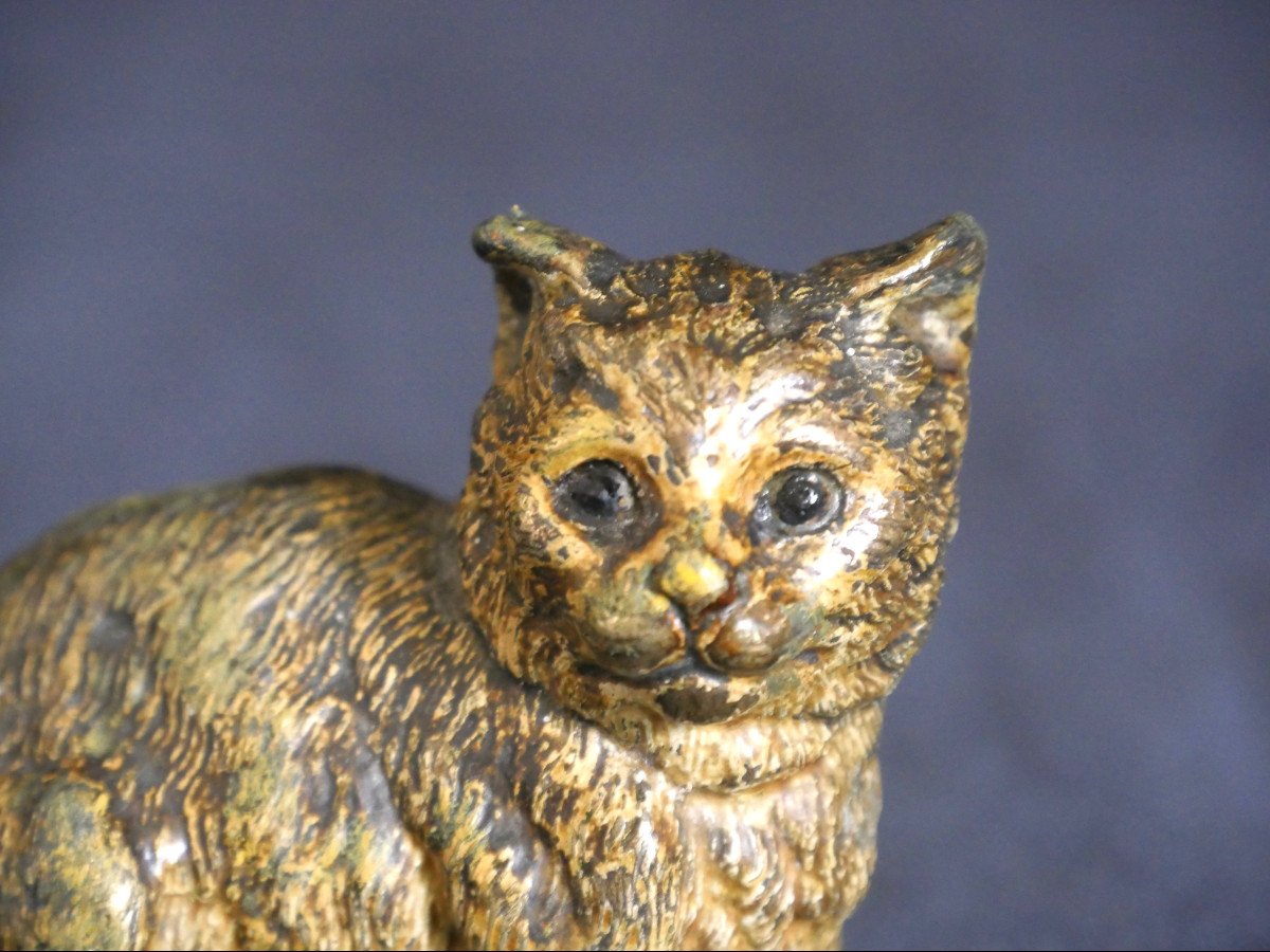 Sculpture – Bronze de Vienne – Franz Xaver Bergmann – Chat-photo-4