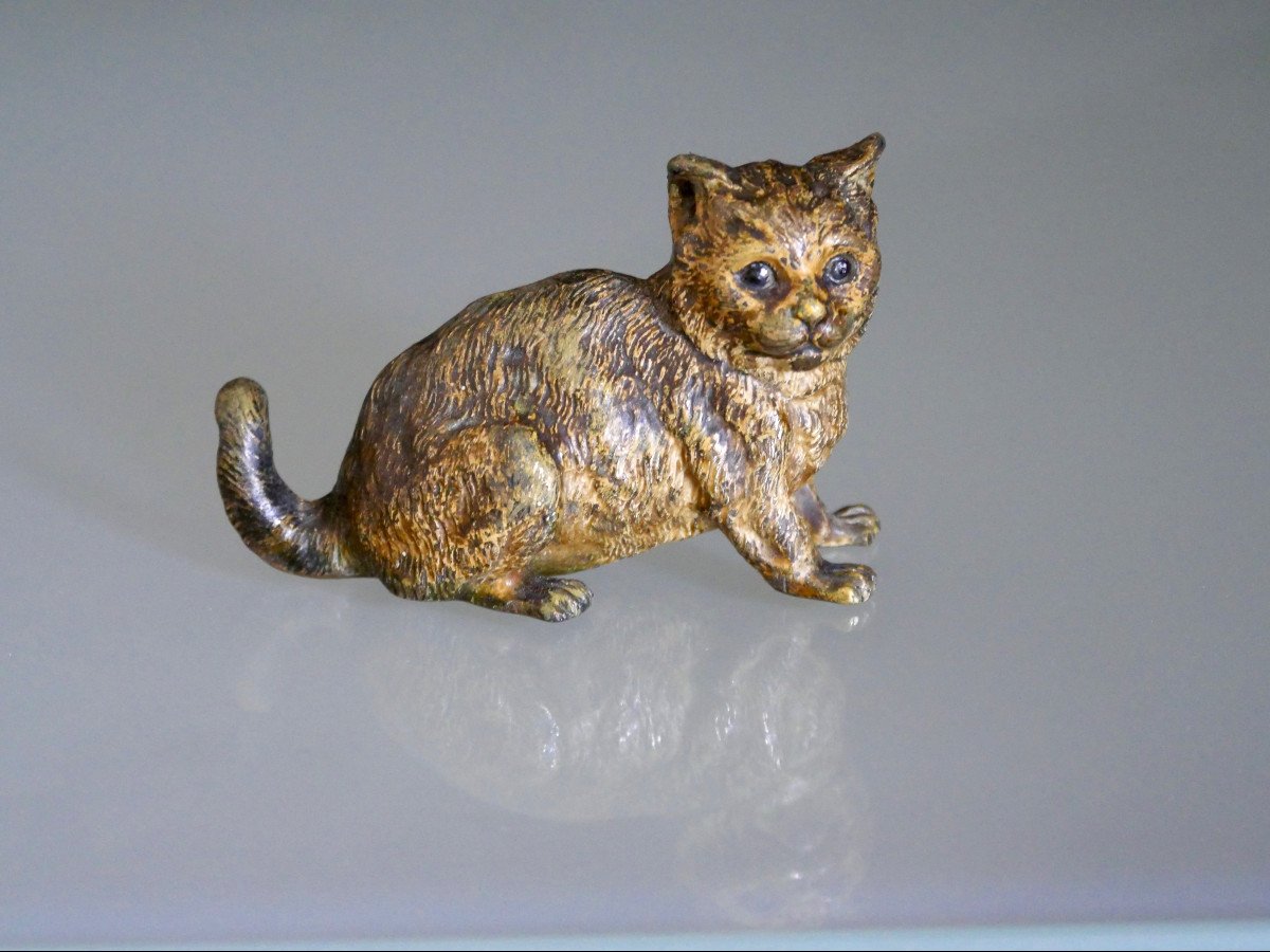 Sculpture – Bronze de Vienne – Franz Xaver Bergmann – Chat