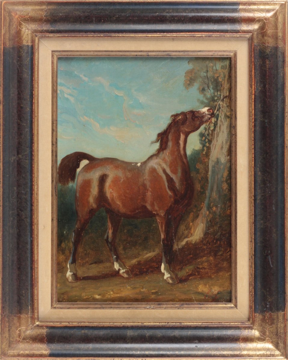 Equestrian Portrait (horse) - French School 19th Century-photo-1