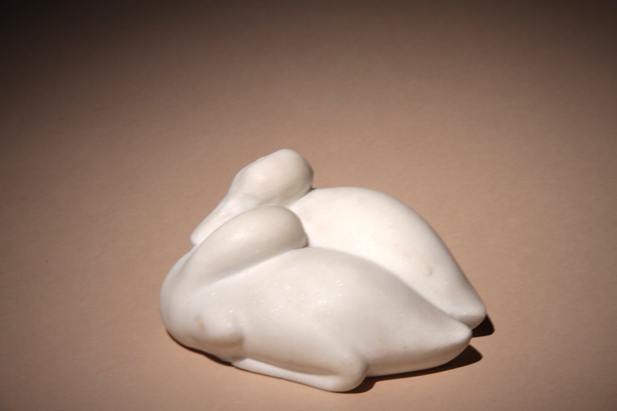 Couple Of Ducks - Marble - Animal-photo-6