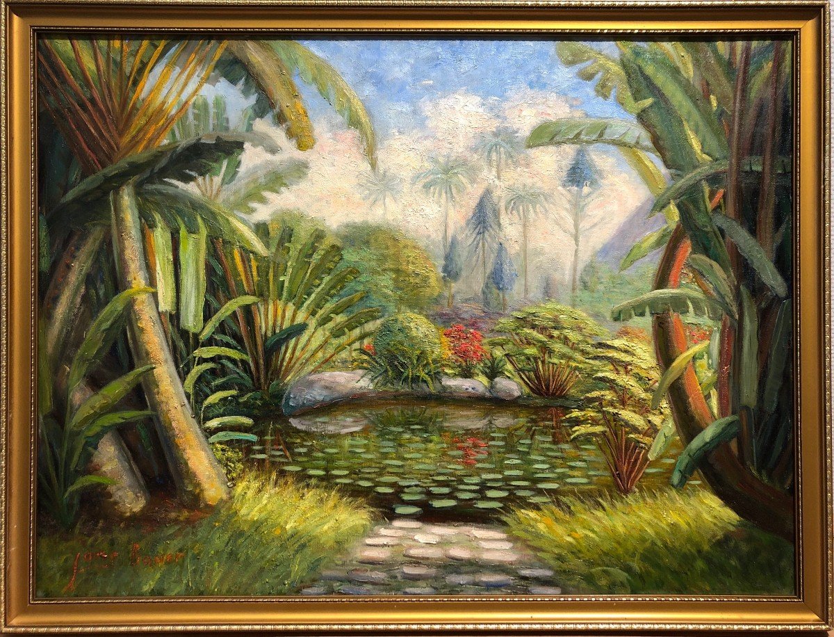 Martinique? Caribbean? Painting Signed Bauer? To Identify Exotic Landscape-photo-3