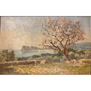 Leopold ROBERT (1850-1935) Amandier en fleurs au Baguier - La Ciotat