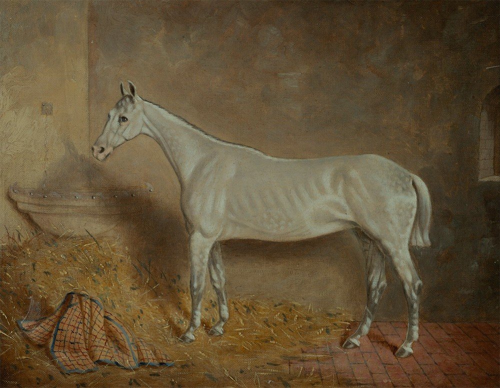 Slr J Truman (active 19th Century) White Horse In His Stable, Oil On Canvas,-photo-2