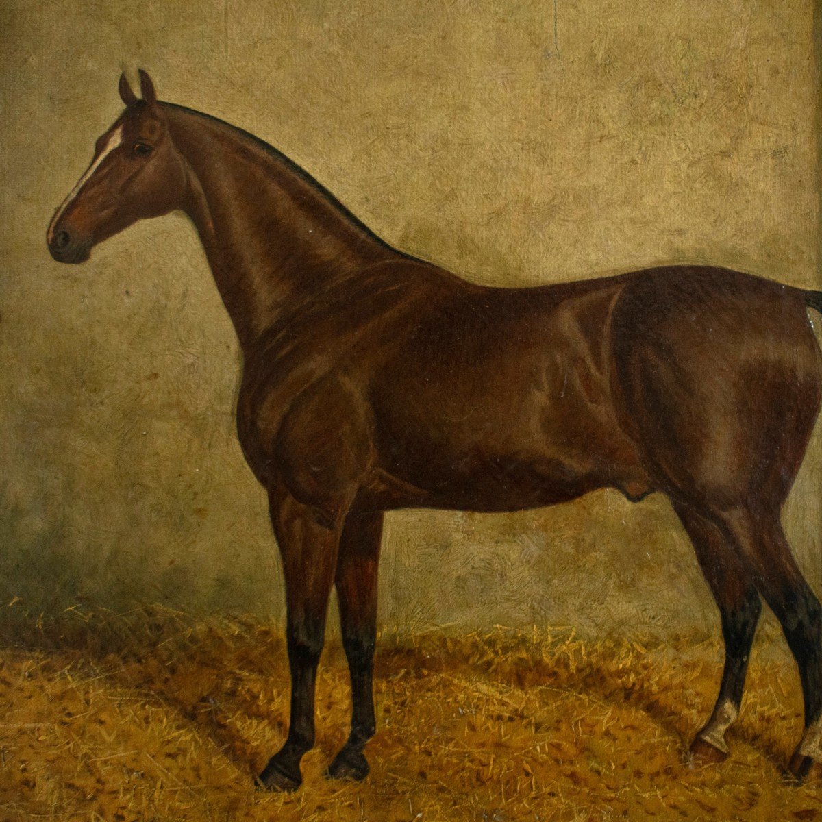 Albert Clark Daté De 1900 - Portrait à l'Huile Sur Toile Du Cheval 'jimmy M'.-photo-2