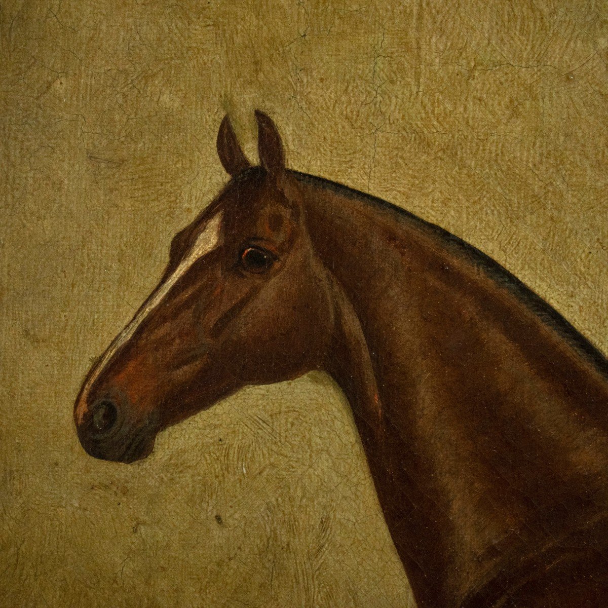 Albert Clark Daté De 1900 - Portrait à l'Huile Sur Toile Du Cheval 'jimmy M'.-photo-3