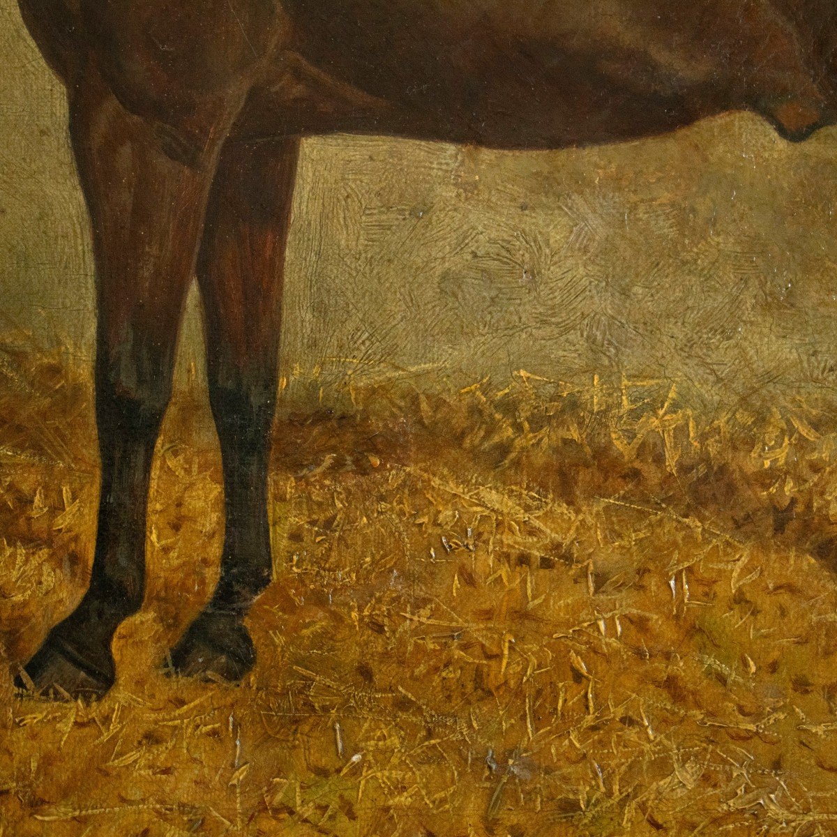 Albert Clark Daté De 1900 - Portrait à l'Huile Sur Toile Du Cheval 'jimmy M'.-photo-2