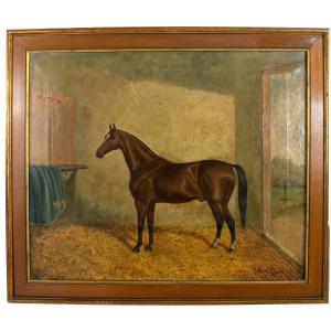 Albert Clark Dated 1900 - Oil On Canvas Portrait Of The Horse 'jimmy M'.