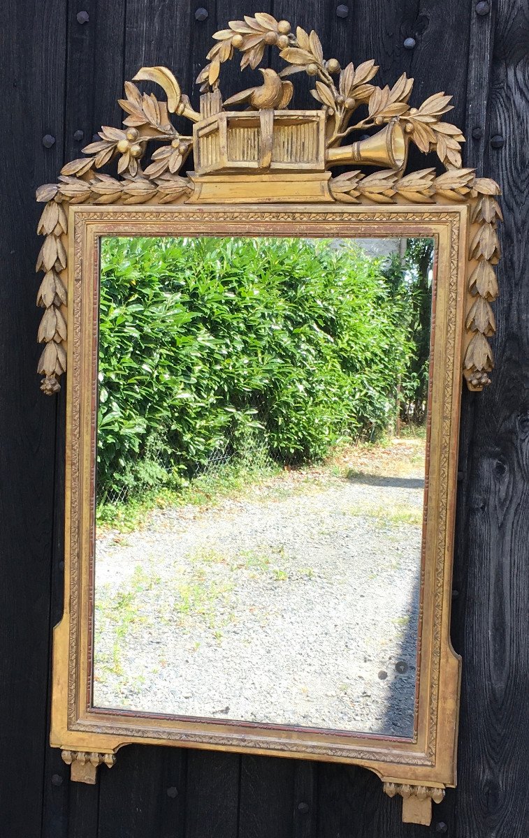 Louis XVI Period Gilded Wood Mirror, Old Mercury Mirror. Midi, France 18th Century. -photo-5