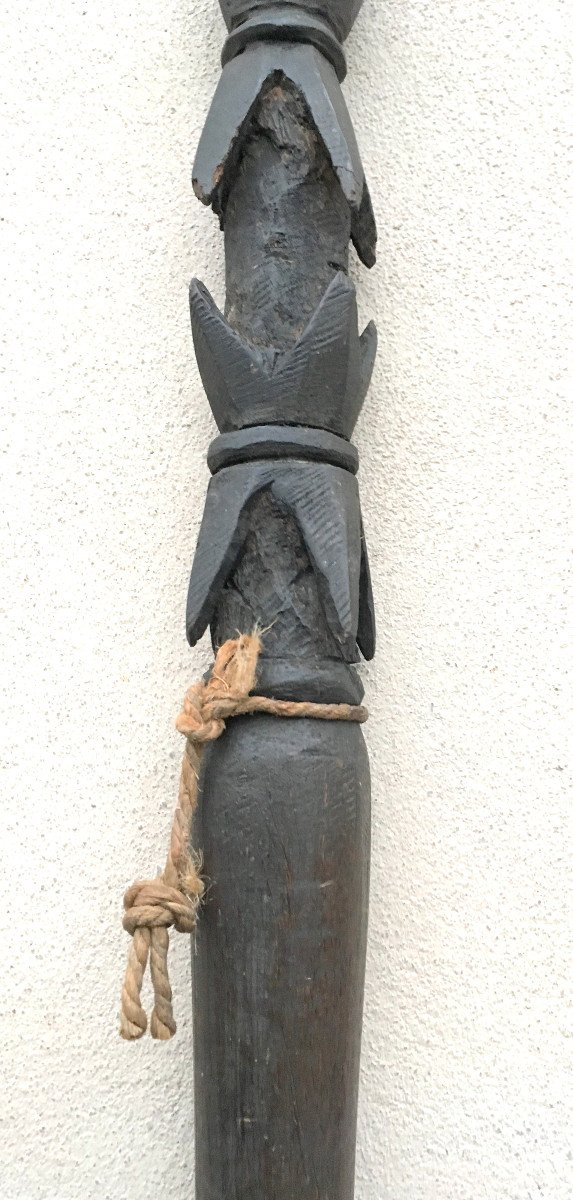 Large Wooden War Spear. Barbed Tip. Fiji Islands, Melanesia, Oceania.-photo-1