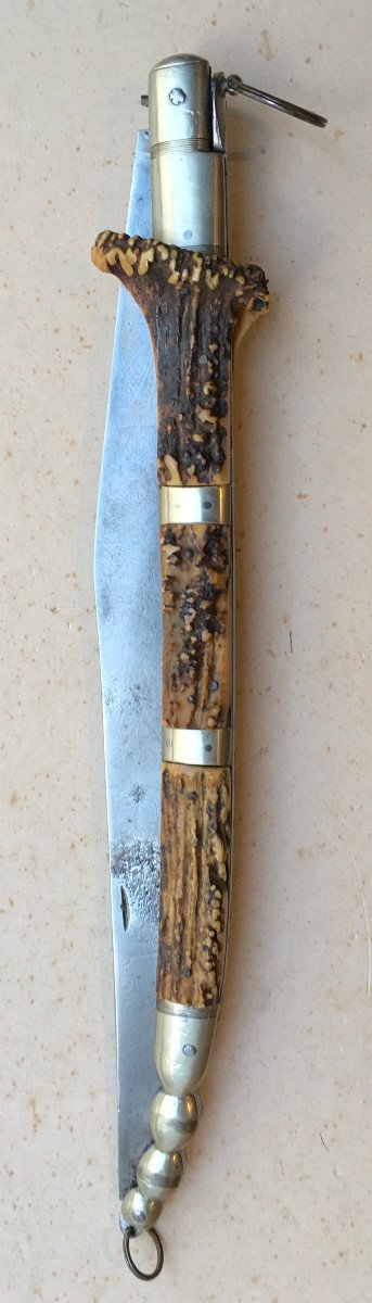 Large Chatellerault Sologno Display Knife In Deer Antler. France Early 20th Century.  