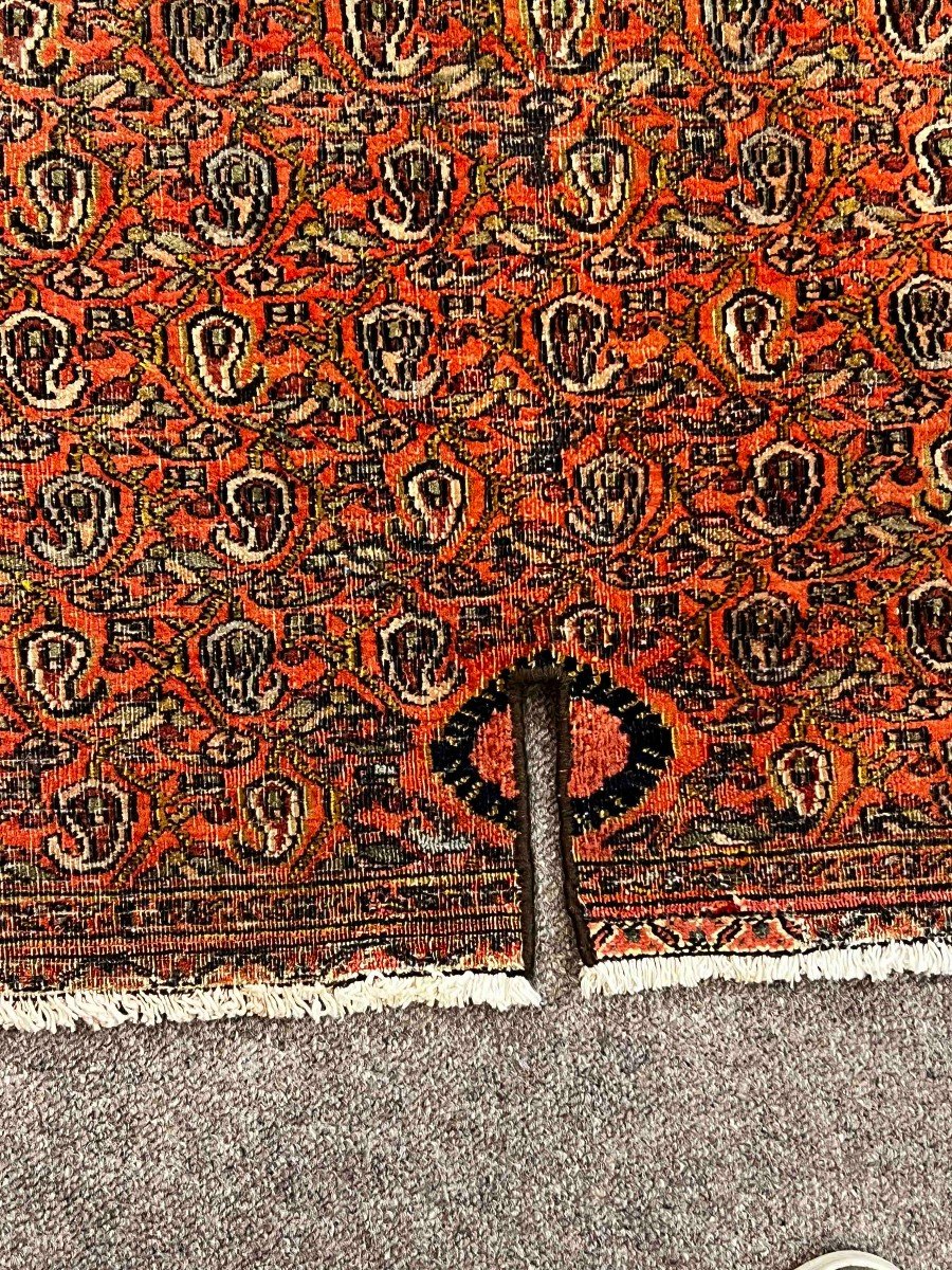 Collection Rug - Saddle Dorokhsh - 105x90, N° 214-photo-1