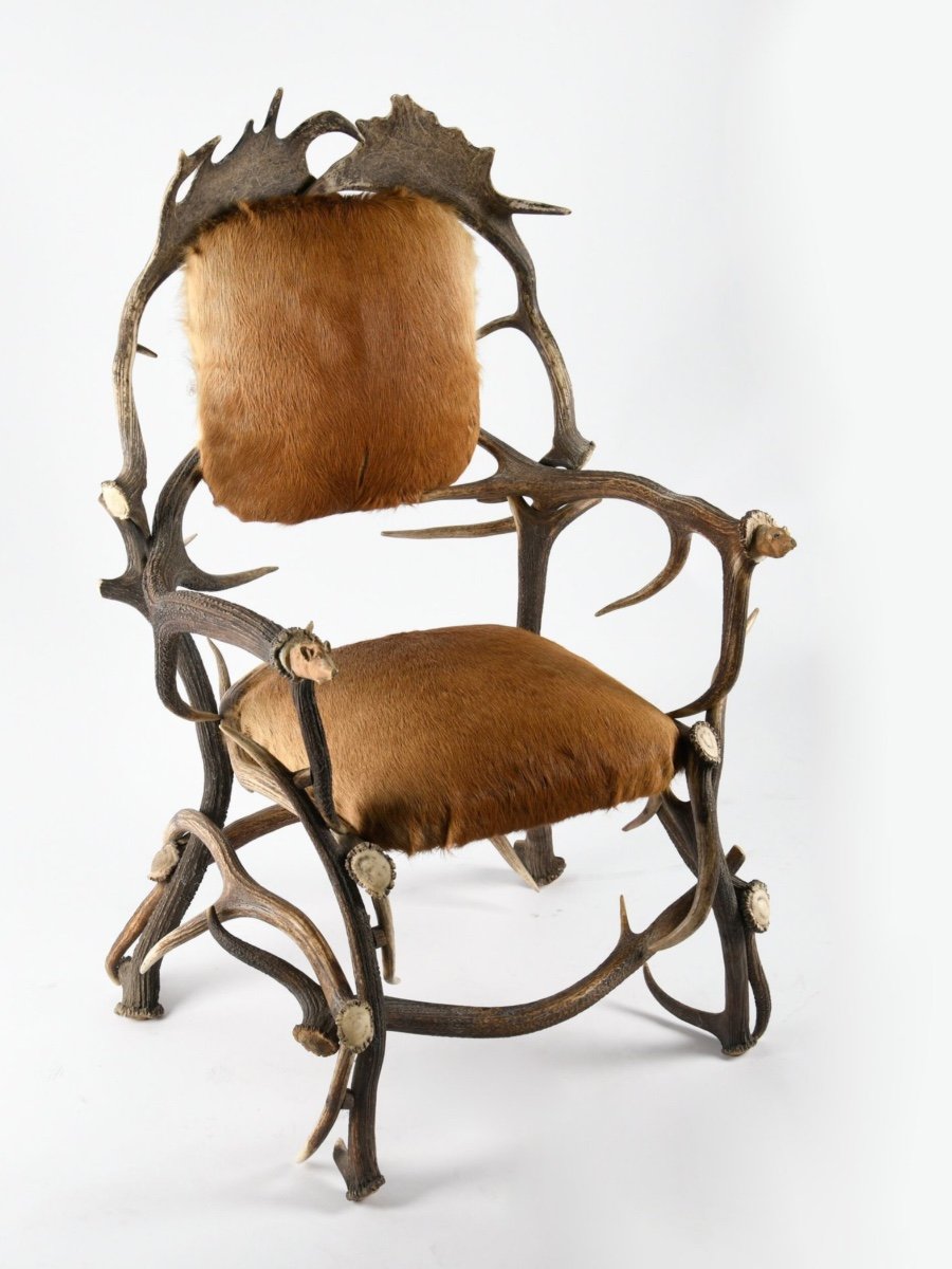 Fauteuil En Bois De Cerf Circa 1950-photo-2