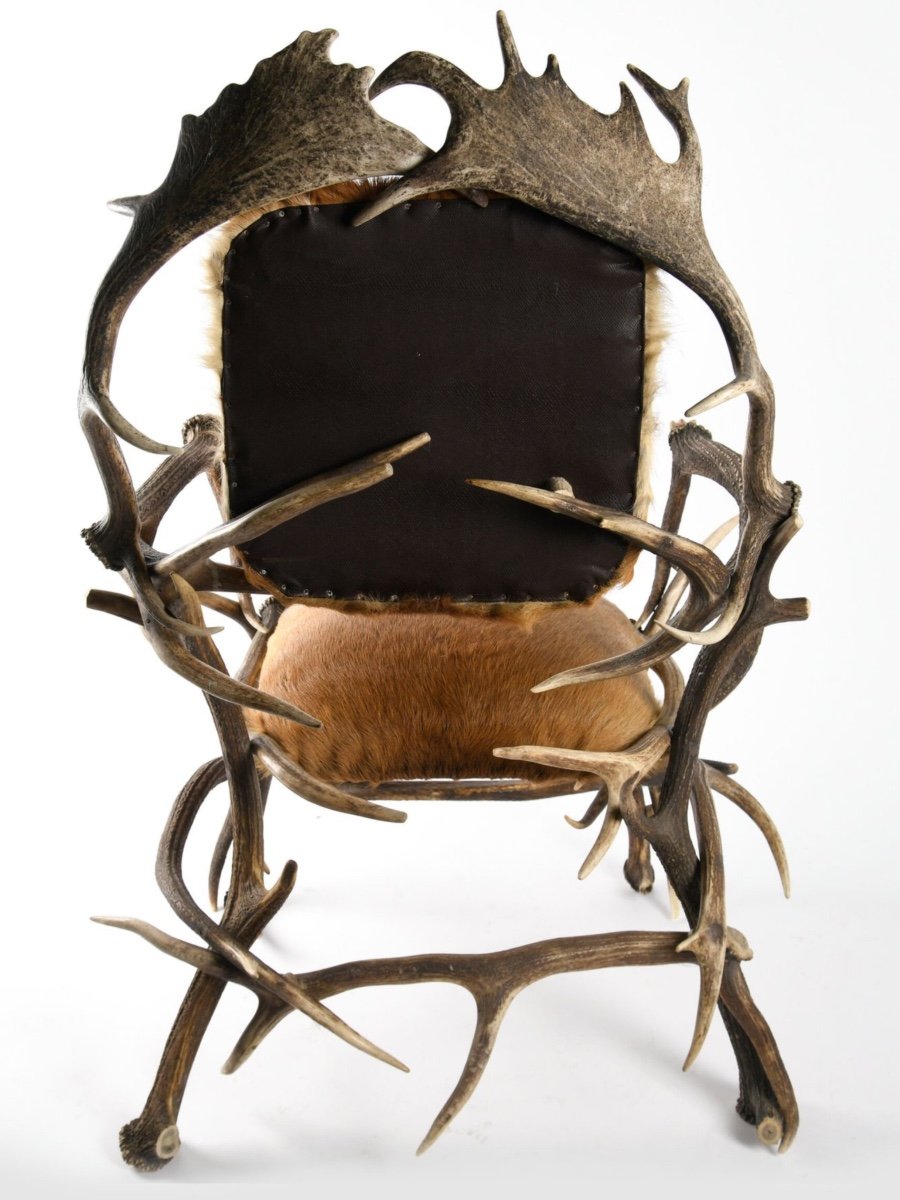 Fauteuil En Bois De Cerf Circa 1950-photo-1