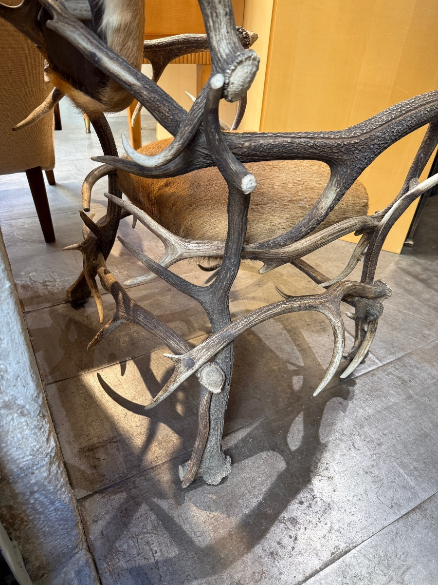 Fauteuil En Bois De Cerf -photo-2