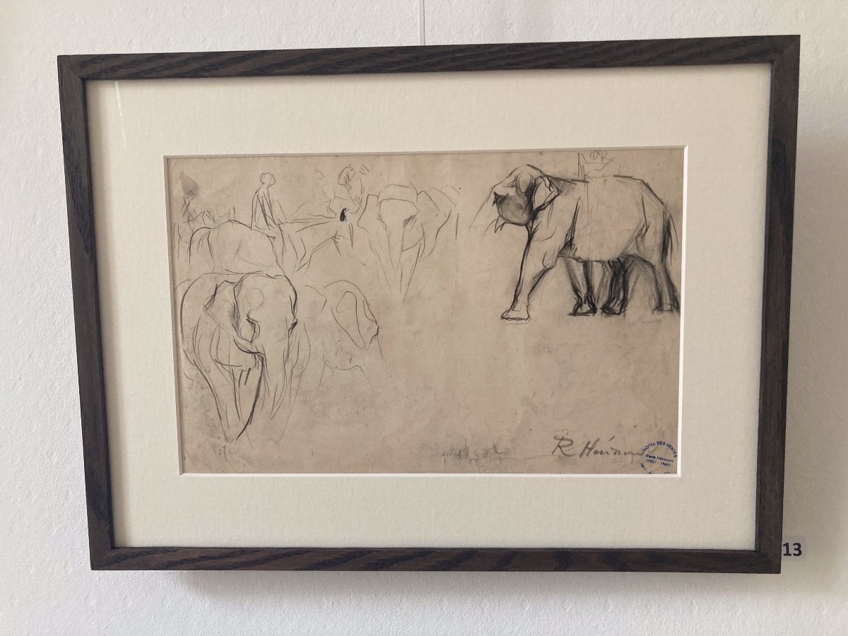 René Hérisson, Etude d'éléphant, Mine de plomb et fusain sur papier-photo-2