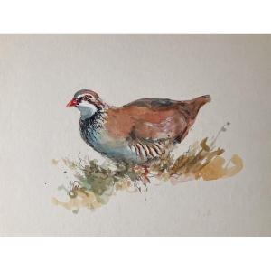 Patrice Bac, Red Partridge, Watercolor