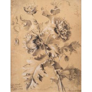 Augustin Thierriat (1789-1870) - Study Of Pavots