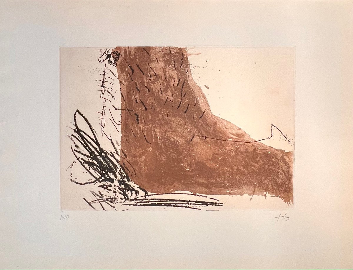 Etching By Tapiès:  The Foot