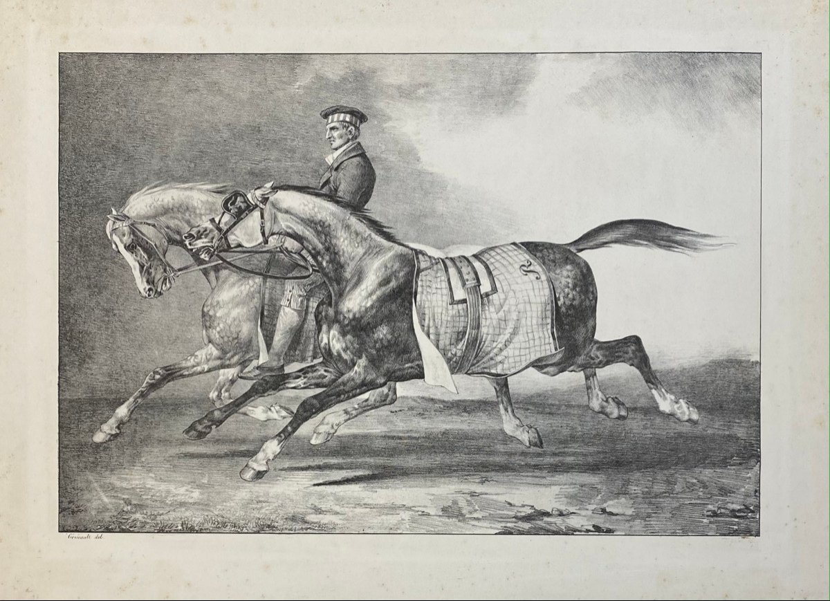 Lithographie De Gericault Et Cogniet : Deux Chevaux Gris Pommelé Que L' On Promène