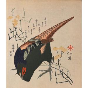 Japanese Hokkei Print: Pheasant
