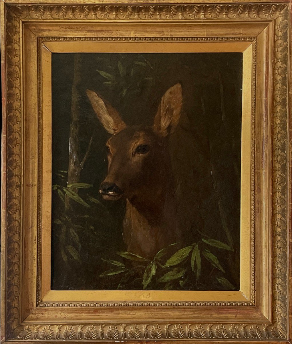 Claude-Charles Rudhardt - Portrait d'une biche - Vers 1850-1860 -photo-2