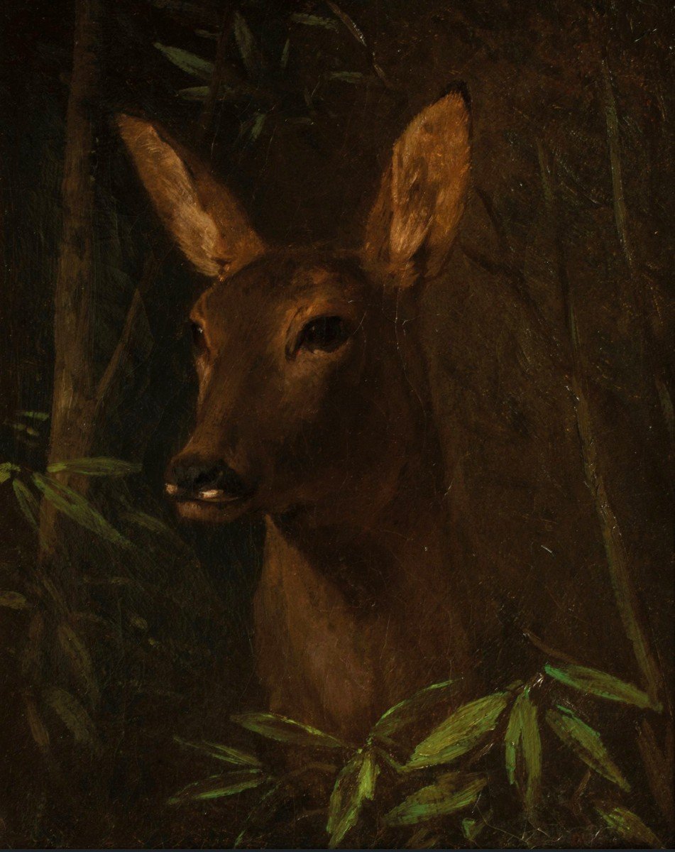 Claude-Charles Rudhardt - Portrait d'une biche - Vers 1850-1860 