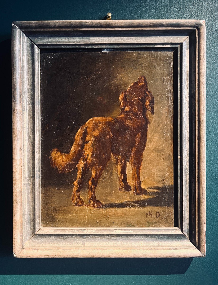 Study Of A Dog - By Charles Demory - Oil On Panel - Brittany Spaniel Or Irish Setter-photo-2