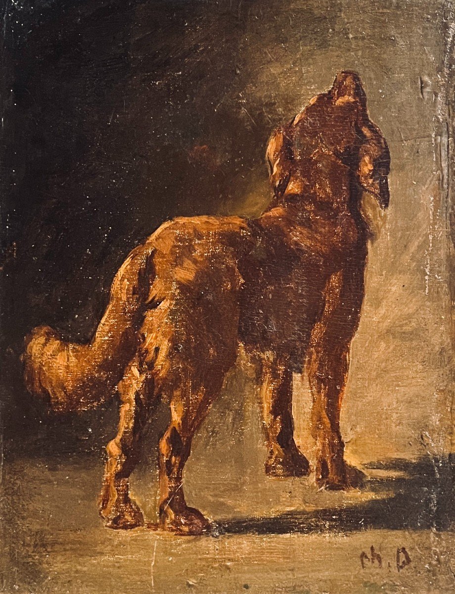 Study Of A Dog - By Charles Demory - Oil On Panel - Brittany Spaniel Or Irish Setter