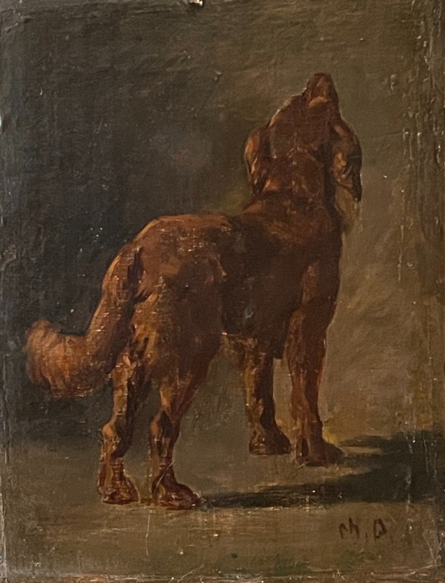 Charles Demory - Chien De Dos - Huile Sur Panneau