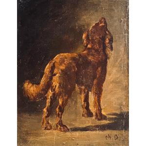 Study Of A Dog - By Charles Demory - Oil On Panel - Brittany Spaniel Or Irish Setter