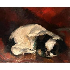 Jean De Gaigneron - Cavalier King Charles Endormi - Huile Sur Toile - portrait de chien