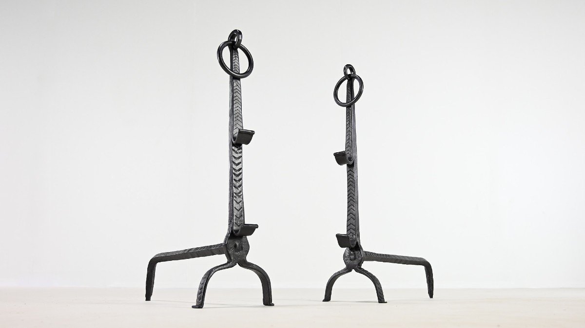 Pair Of Wrought Iron Andirons. France, 18th Century-photo-6