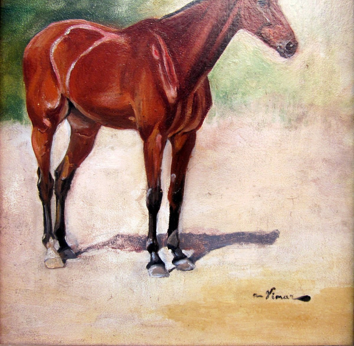 Auguste Vimar (1851-1916) Portrait Of English Thoroughbred Horse-photo-3