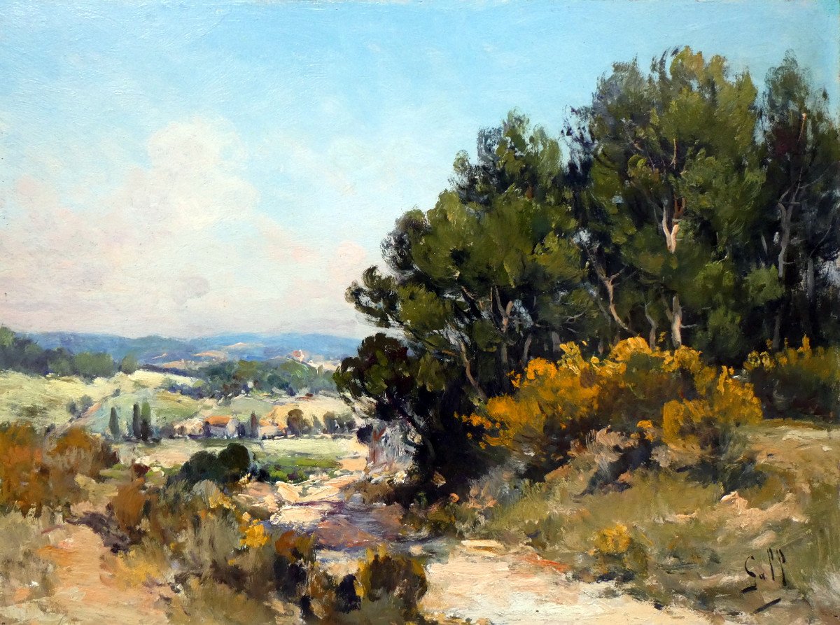 Gall (xixe-xxe) Paysage Provençal Aux Argélas En Fleurs