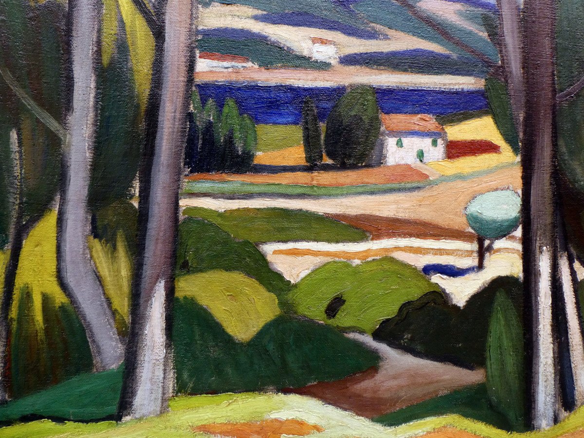 Louis Mathieu Verdilhan (1875-1928) Provençal Landscape With Large Trees-photo-4