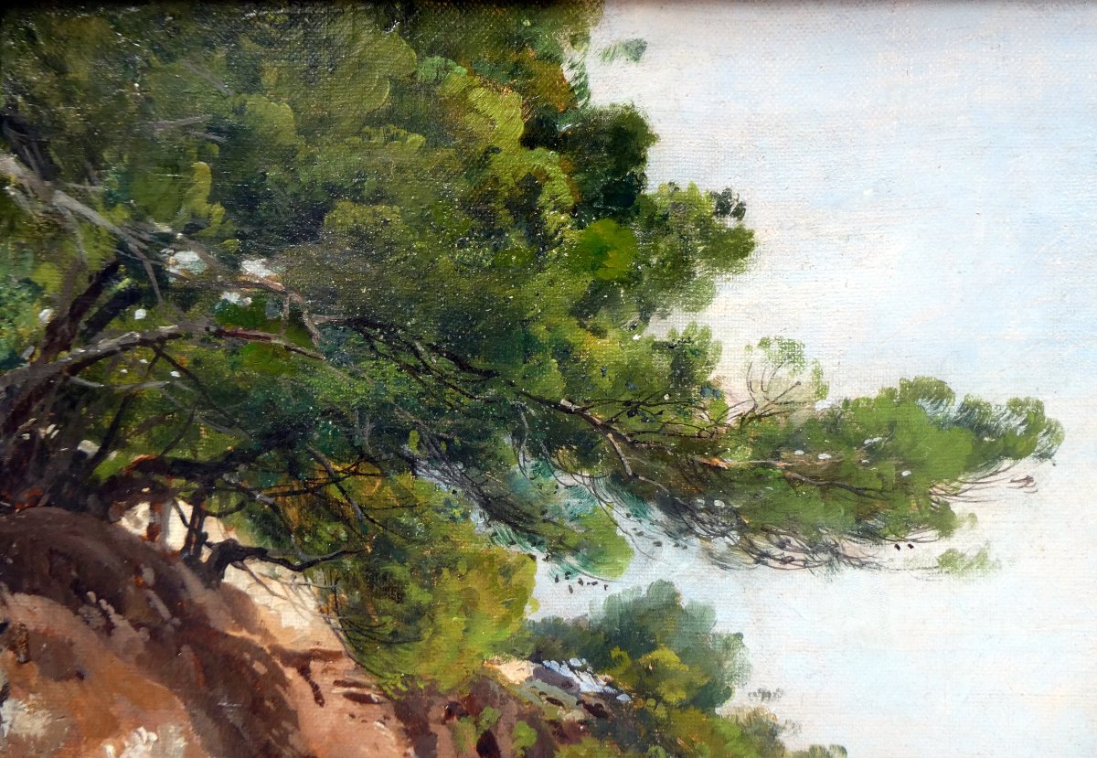 Paulin Bertrand (1852-1940) Bord De Mer Aux Pins Penchés De Carqueiranne,-photo-3
