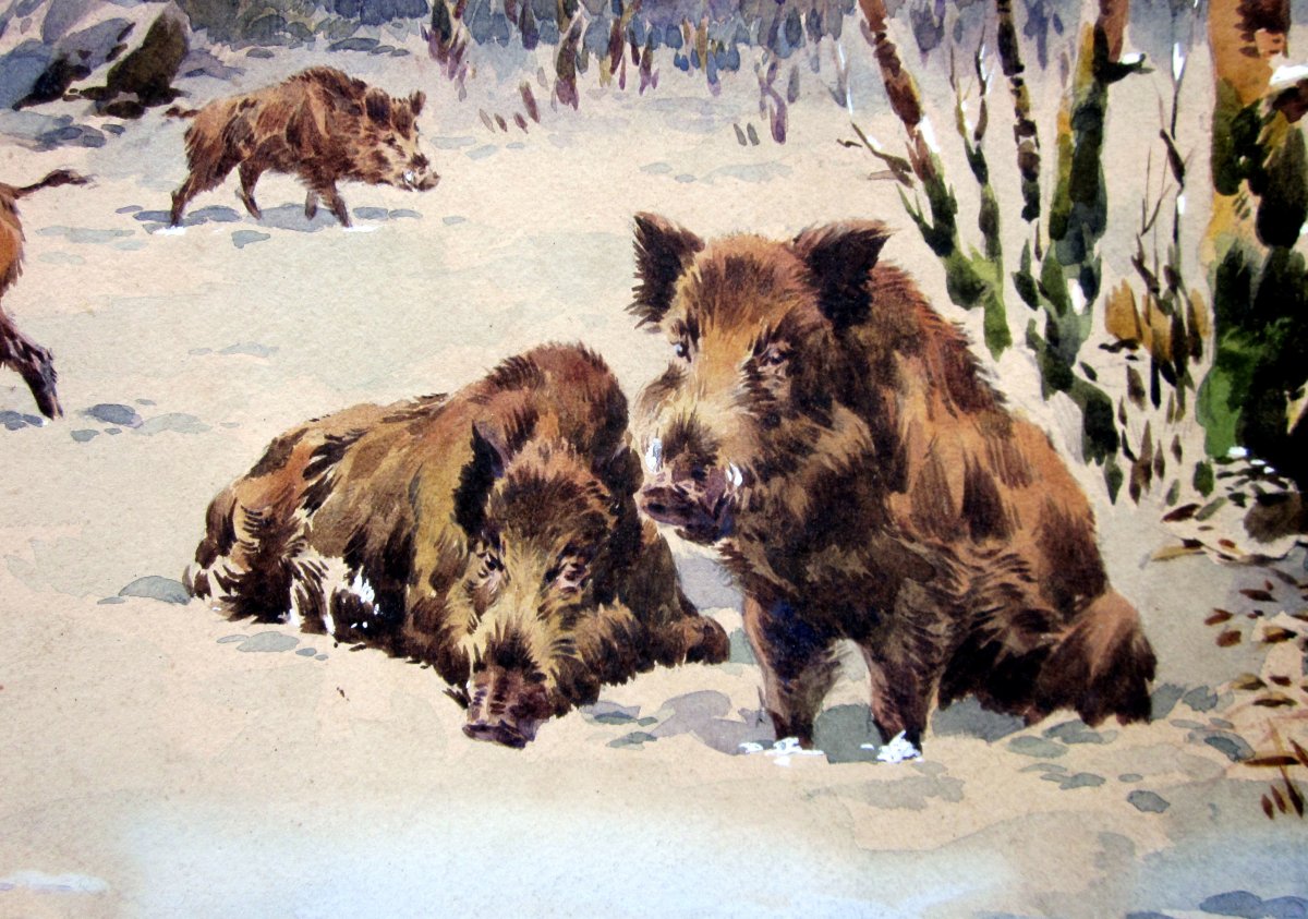 Georges Frédéric Rötig (1873-1961) Attributed To - Herd Of Boars In The Snow - Watercolor-photo-3