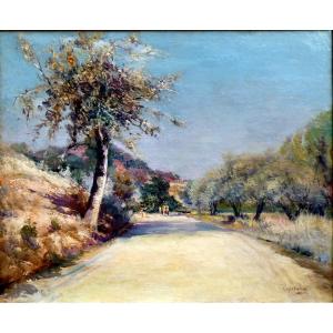 Louis Nattero (1870-1915) Path Lined With Olive Trees Around Toulon