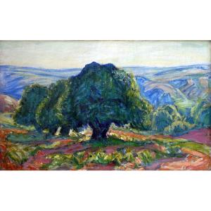 René Seyssaud (1867-1952) Châtaigniers Aux Environs Du Ventoux