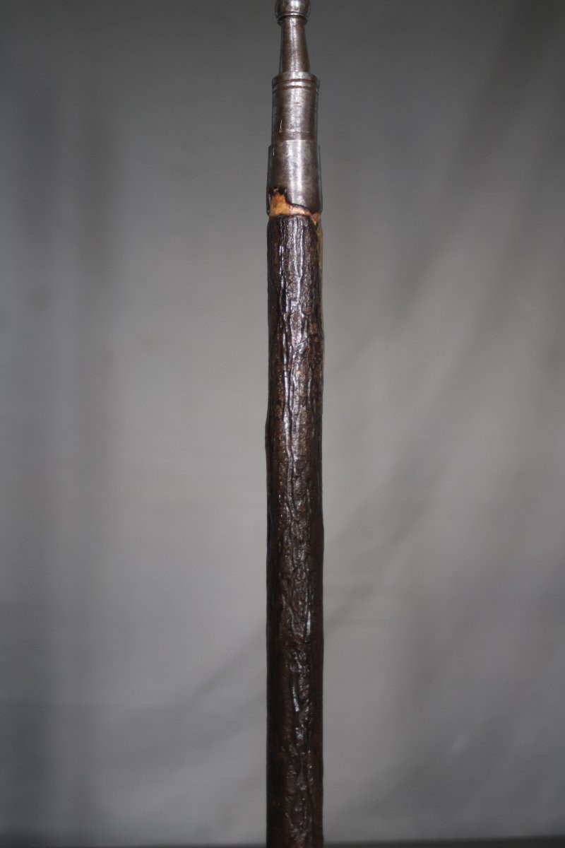 Hunting Spear (lance) - France, 18th-19th Century-photo-4