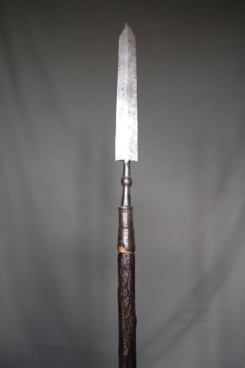 Hunting Spear (lance) - France, 18th-19th Century-photo-1