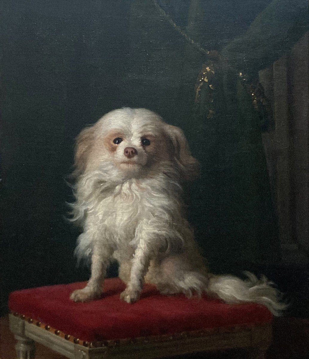 Delamarre Jacques-barthélémy (active In 18th) Attrib To "portrait Of A Dog" Oil/canvas, Frame-photo-2