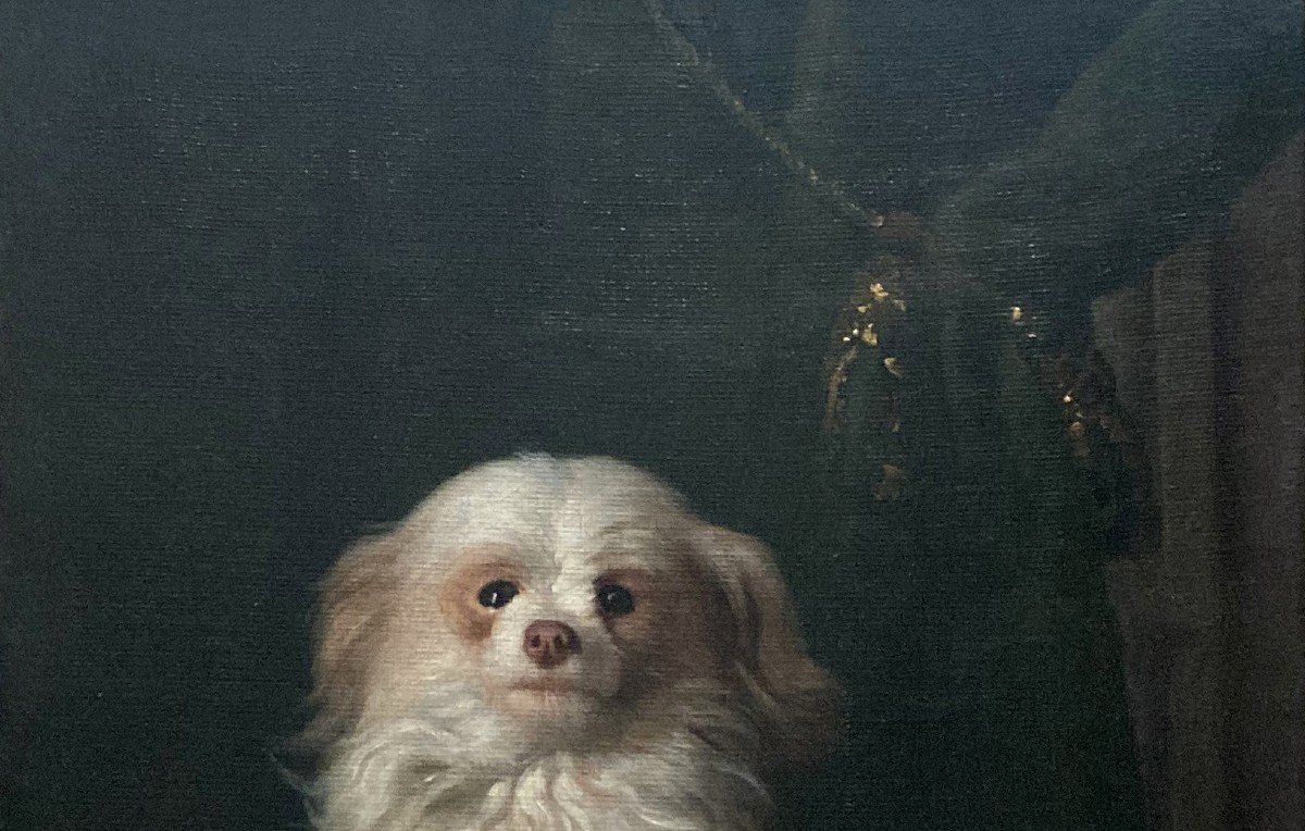 Delamarre Jacques-barthélémy (active In 18th) Attrib To "portrait Of A Dog" Oil/canvas, Frame-photo-3