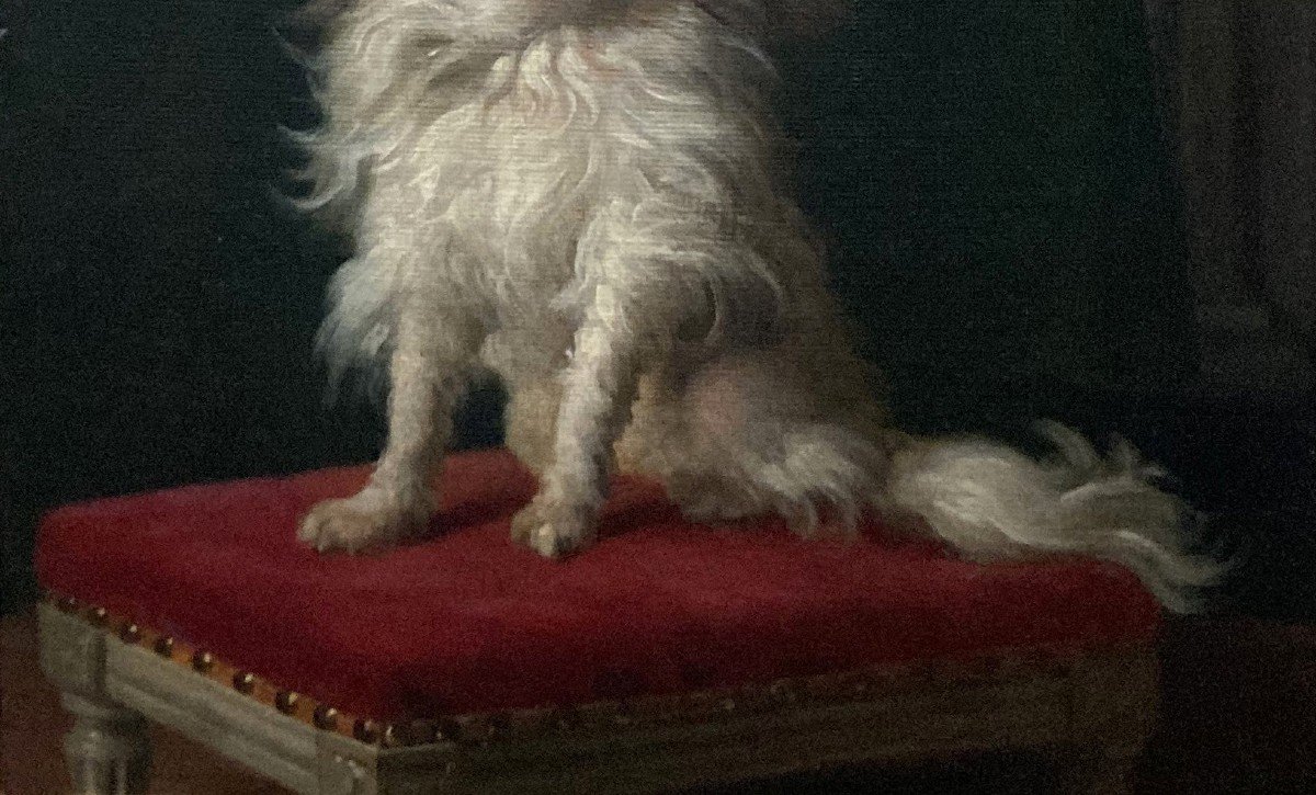 Delamarre Jacques-barthélémy (active In 18th) Attrib To "portrait Of A Dog" Oil/canvas, Frame-photo-4