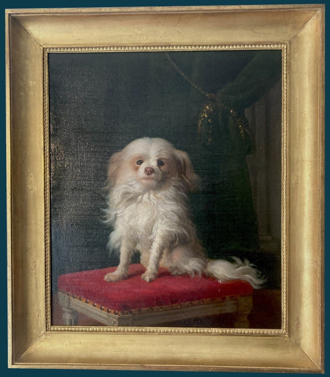 Delamarre Jacques-barthélémy (active In 18th) Attrib To "portrait Of A Dog" Oil/canvas, Frame